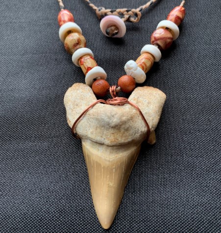 shark tooth necklace - featured image